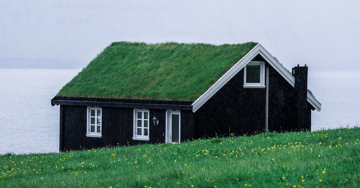 Types of Recycled Roofing Materials for Sustainable Roofing Options